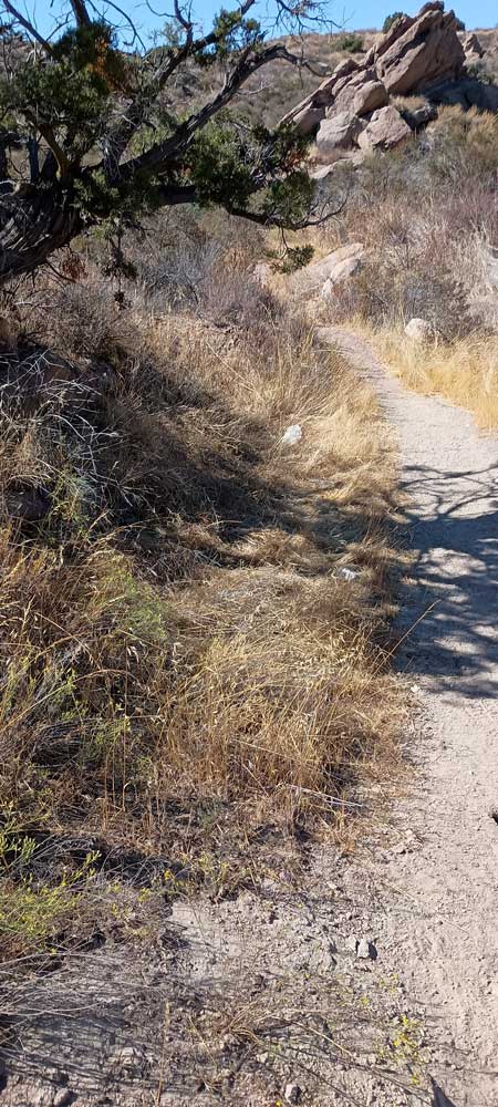 Vazquez trail